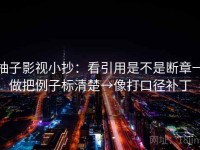 柚子影视小抄：看引用是不是断章→做把例子标清楚→像打口径补丁
