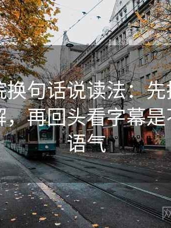 天天影院换句话说读法：先把配乐拿掉再理解，再回头看字幕是不是加重语气