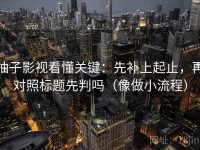 柚子影视看懂关键：先补上起止，再对照标题先判吗（像做小流程）