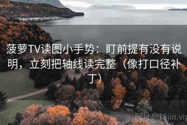 菠萝TV读图小手势：盯前提有没有说明，立刻把轴线读完整（像打口径补丁）