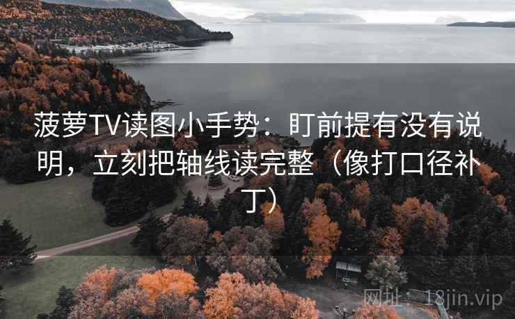 菠萝TV读图小手势：盯前提有没有说明，立刻把轴线读完整（像打口径补丁）